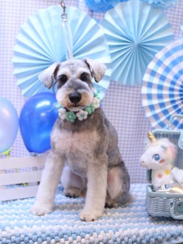 20231118バーツくん